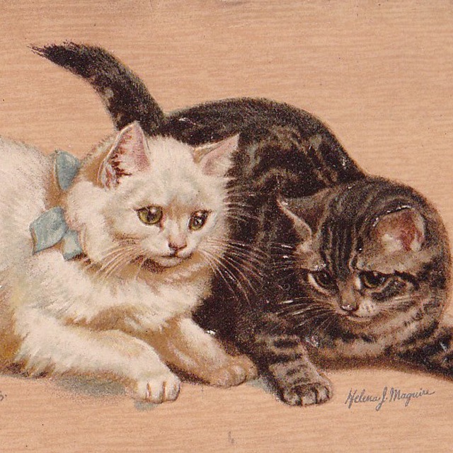 白猫とキジトラ猫のイラストのポストカード Helena Maguire ヘレナ・マグワイア1904年消印