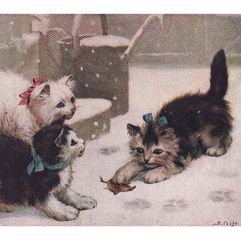 雪の中で遊ぶ猫たちのポストカードA Little Victim B.Cobbe 1909年