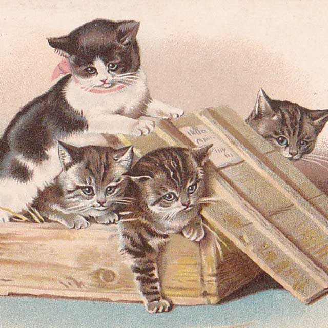 木箱から出てくる4匹の子猫のイラストのポストカード Helena Maguire ヘレナ・マグワイア1904年