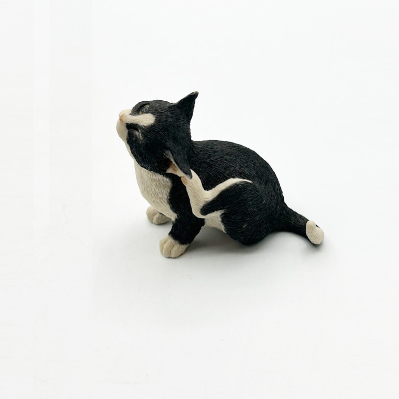 テディベア　作家様　白黒　猫 澤田クマ制作所さんのパンダ教室を開催します🐼 人気作家さんに