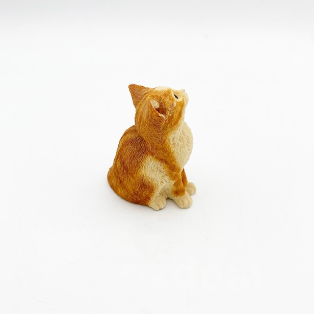  ジェリーキャット 猫　茶トラ 楽天市場】jellycat ジェリーキャット ねこ CAT ネコ 猫 茶トラ