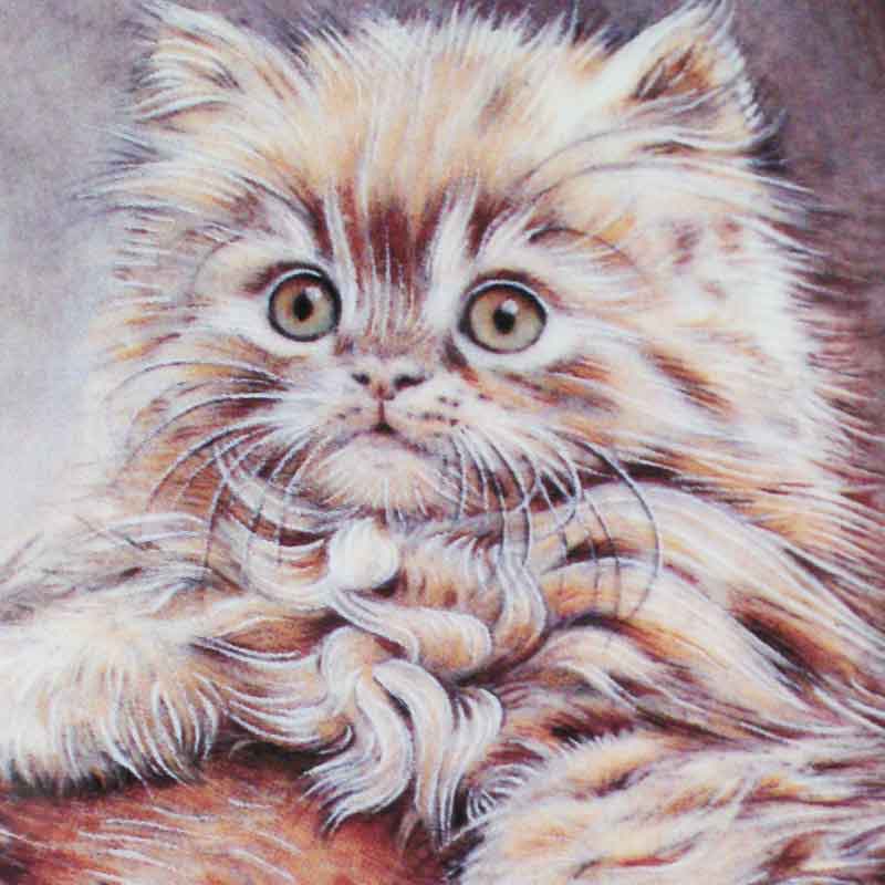 ロイヤルウースター ペルシャ猫の親子の絵皿　Cream Persian パム・クーパー作