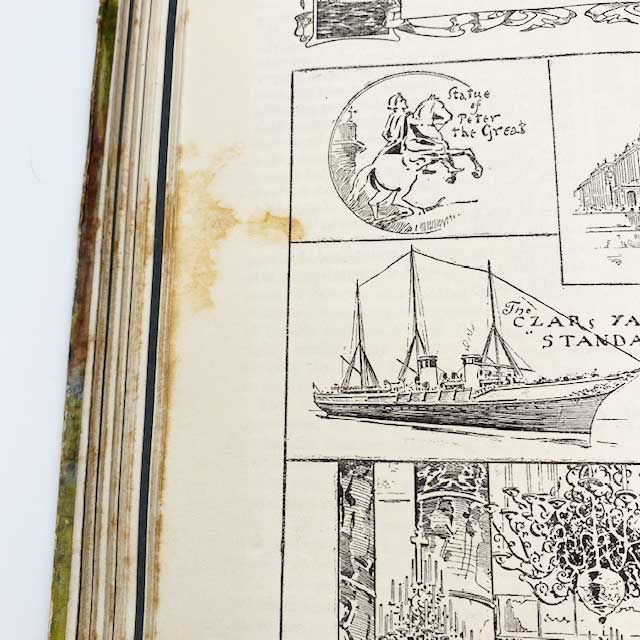 ルイスウェイン他 アンティーク本　OUR DARLINGS 1915年 児童書