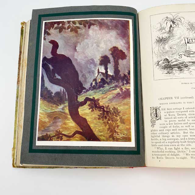 ルイスウェイン他 アンティーク本　OUR DARLINGS 1915年 児童書