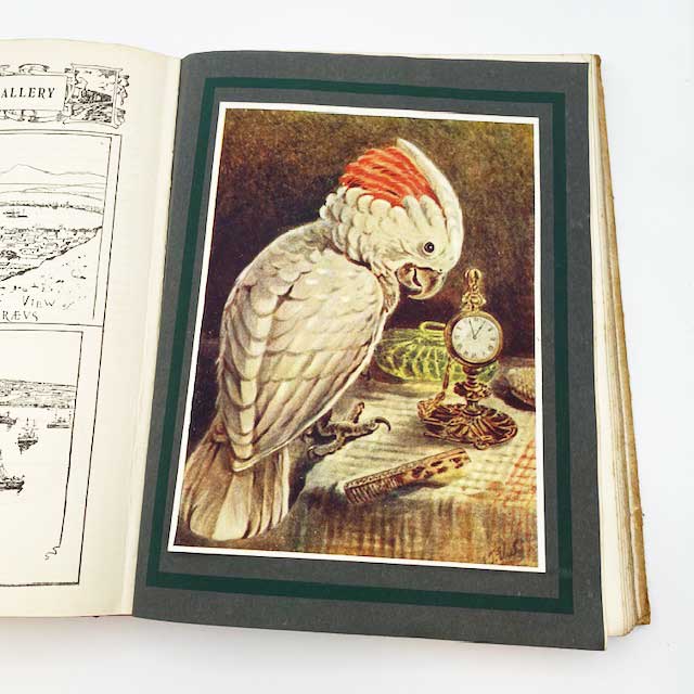 ルイスウェイン他 アンティーク本　OUR DARLINGS 1915年 児童書