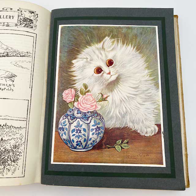 ルイスウェイン他 アンティーク本　OUR DARLINGS 1915年 児童書