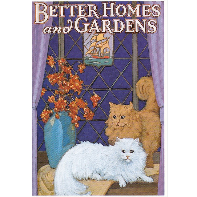 ヴィンテージ復刻猫ポストカード CATS IN THE WINDOW イギリス製