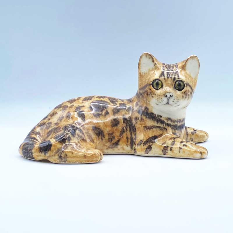 ウィンスタンレイキャット 珍しいベンガルキャット　サイズ3 ケンジントンキャット