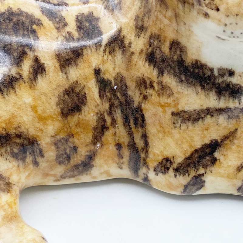 ウィンスタンレイキャット 珍しいベンガルキャット　サイズ3 ケンジントンキャット