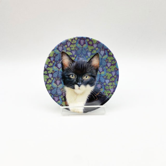ロイヤルウースター アイボリーキャッツ 猫のミニ絵皿　POSKY AND THE PEACOCK VINE