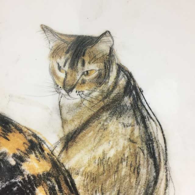 ロイヤルドルトン エリザベス・ブラックアダー 猫の絵皿プレート Kikko and Rosie