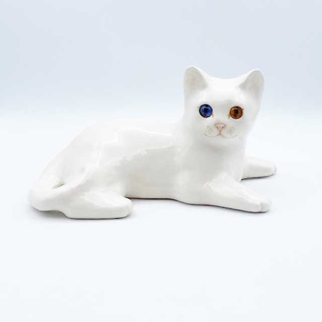 ウィンスタンレイキャット オッドアイの白猫 サイズ3 ケンジントンキャット