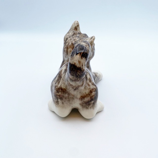 ウィンスタンレイキャット ケンジントンキャット　じゃれる猫 サバトラ白猫　サイズ2