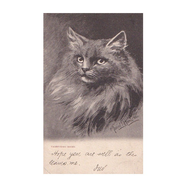 猫の肖像画のポストカード　Muriel Hunt　Valentines Series 1905年