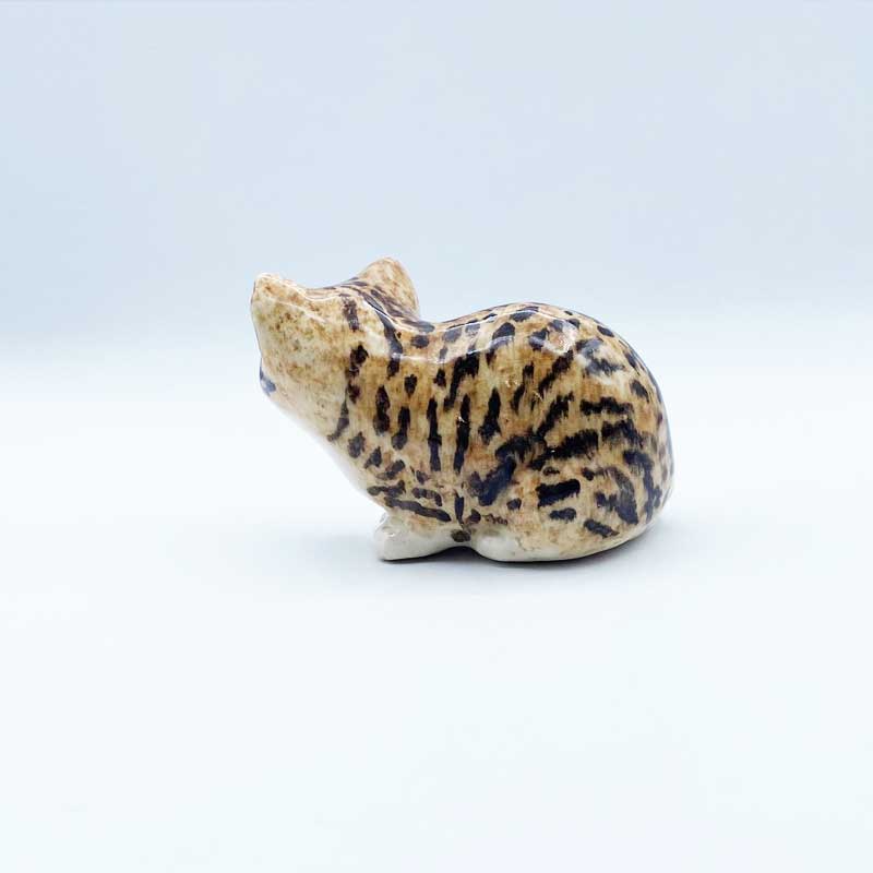 ウィンスタンレイキャット 手乗りサイズのベンガル系子猫 サイズ1 ケンジントンキャット