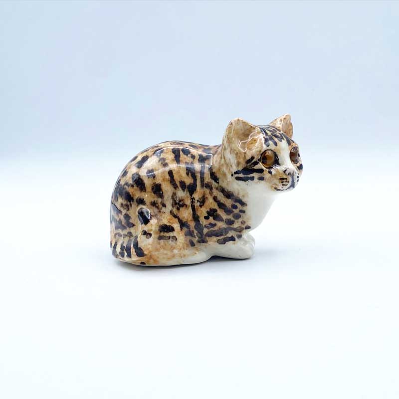 ウィンスタンレイキャット 手乗りサイズのベンガル系子猫 サイズ1 ケンジントンキャット