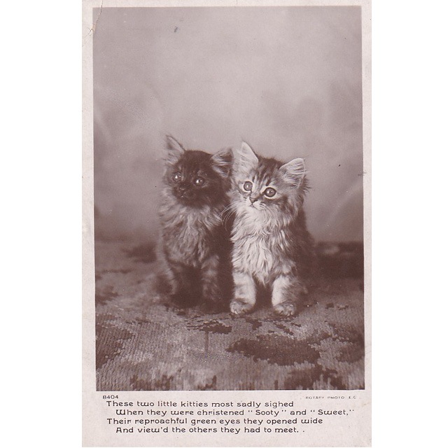 アンティークポストカード ネコと美しい少女 アンティークポストカード