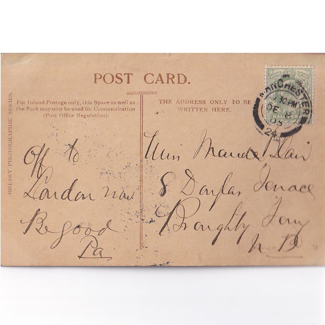 2匹の猫ちゃんの写真のアンティークポストカード Rotary Photo 1905年消印