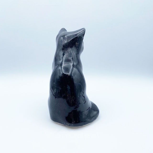 ウィンスタンレイキャット 青い目をした黒猫ちゃんサイズ2