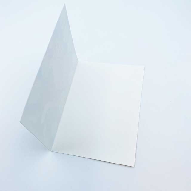 猫の輸入グリーティングカード封筒付 