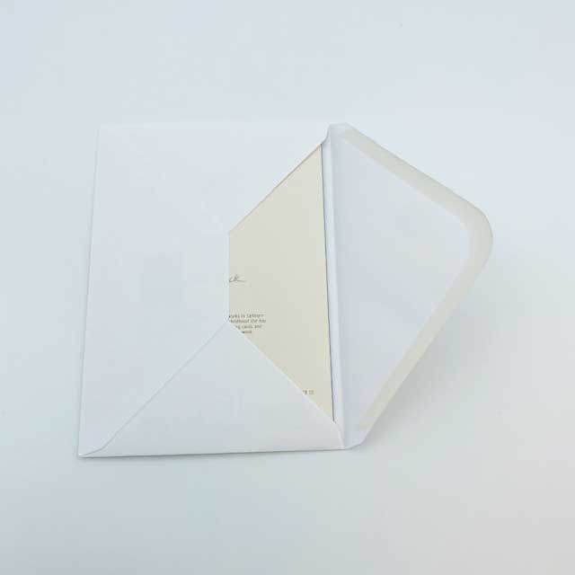 猫の輸入グリーティングカード封筒付 