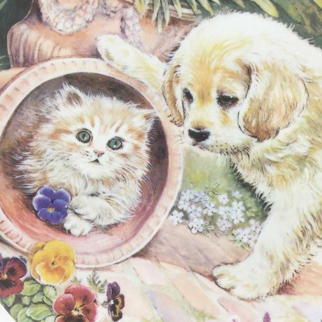 コールポート 子猫と子犬の絵皿 パム・クーパー　Hide and Seek シリアルナンバー入り