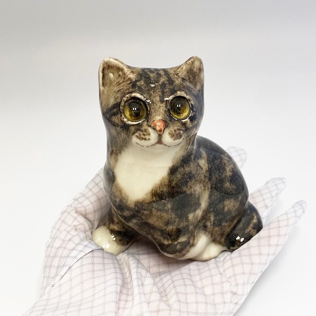 ウィンスタンレイキャット（ケンジントンキャット）片手を上げる可愛い