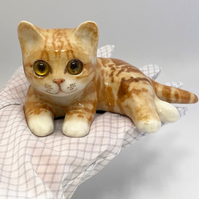 ウィンスタンレイキャット（ケンジントンキャット）サイズ5  