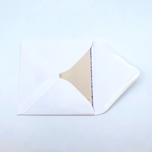 レズリーアンアイボリー 猫の輸入グリーティングカード封筒付 Razzle on Peruvian duck carpet