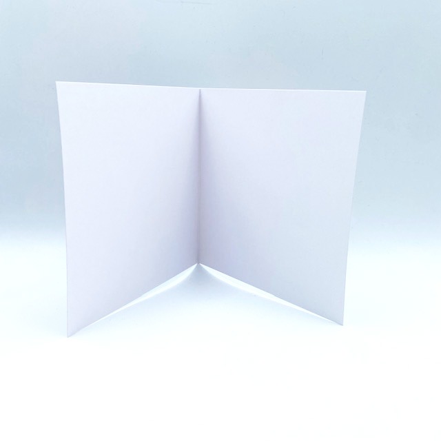 レズリーアンアイボリー 猫の輸入グリーティングカード封筒付 Razzle on Peruvian duck carpet