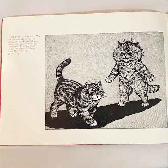 V&A ルイスウェイン展パンフレット 1972年 Louis Wain TIM & SAILOR
