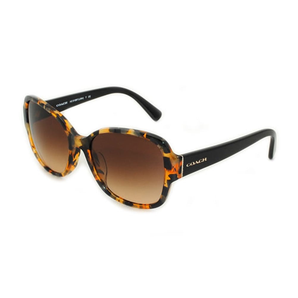 COACH （コーチ） サングラス 0HC8166F 535913 レディース アジアンフィット UVカット 正規品 ブランド 【送料無料（※北海道・沖縄は1,000円）】