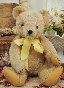 �ӥ�ơ��� �ƥǥ��٥� VI503