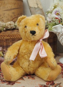 �ӥ�ơ��� ���奿���ա�VI505