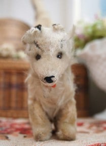 ������ơ��� �ϥ����� VI537