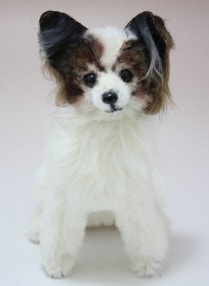 Piyo Bear /�ѥԥ��