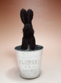 �ۤ�ۤ��YUMI IKENO/���Τ͡���������������ѥ��ޤä���