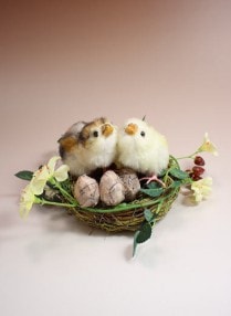 Piyo Bear/�Ϥ�Ҥ�