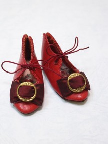 �ġ���6.2cm��������2.6cm �ɡ��륷�塼�� �ܳ� 1����� KSHNO-62