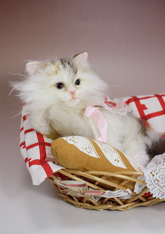 テロペアシェイディレディホワイト　超希少！ JF385A | yoshikitty | セイコーウオッチ株式会社