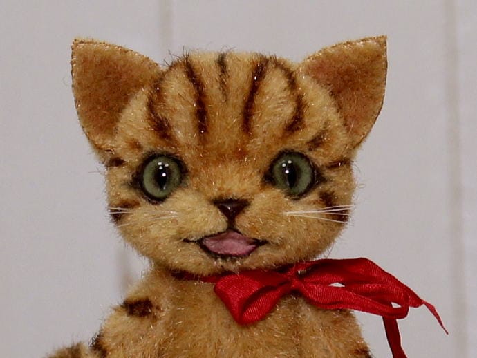 作家様(pisces*b たけしまさおり様)の子猫 たけしまさおりさんの猫