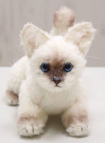 Piyo Bear / ��ˤ��