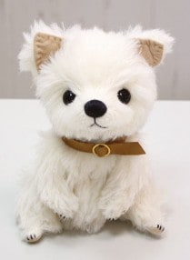 natsue*takahashi /���򤤥������