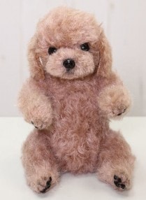 K-seratta / Toypoodle