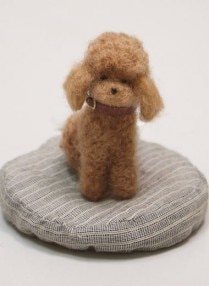 Little Bear/ ���㥤