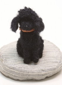 Little Bear/ ����