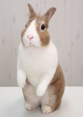 棚からうさもち ／大きな羊毛うさぎ（ダッチカラー）② | ≪終了企画