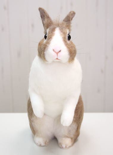 棚からうさもち ／大きな羊毛うさぎ（ダッチカラー）② | ≪終了企画