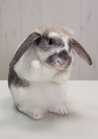 棚からうさもち 大きな羊毛うさぎ 顔洗いのポーズ ロップイヤー 終了 時の博覧会 個展 羊毛フェルトアーティスト 棚からうさもち展 5 1 金 5 10 日 Timeroman Shop