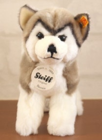 Steiff ʥɥޤϷޥ᡼奿ռҡ   ϥϥΥХˡ19
